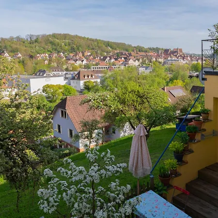 Gemuetliche Stadtwohnung In Appartamento *